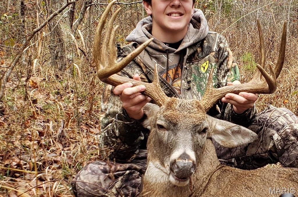 1743 Ripley Route North Doniphan, MO 63935 - Photo 5 of 91