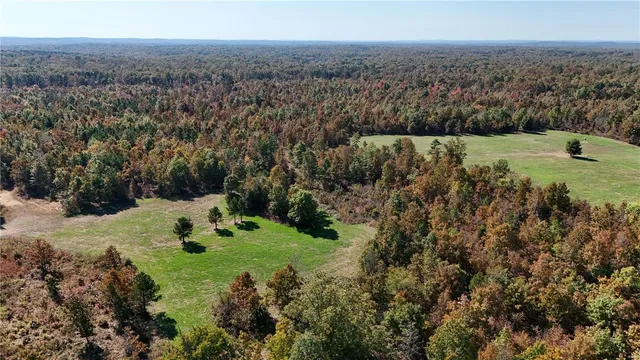 $1,300,000 | 1743 Ripley Route North, Doniphan, MO 63935
