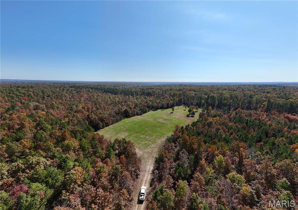 1743 Ripley Route North Doniphan, MO 63935 - Photo 53 of 91