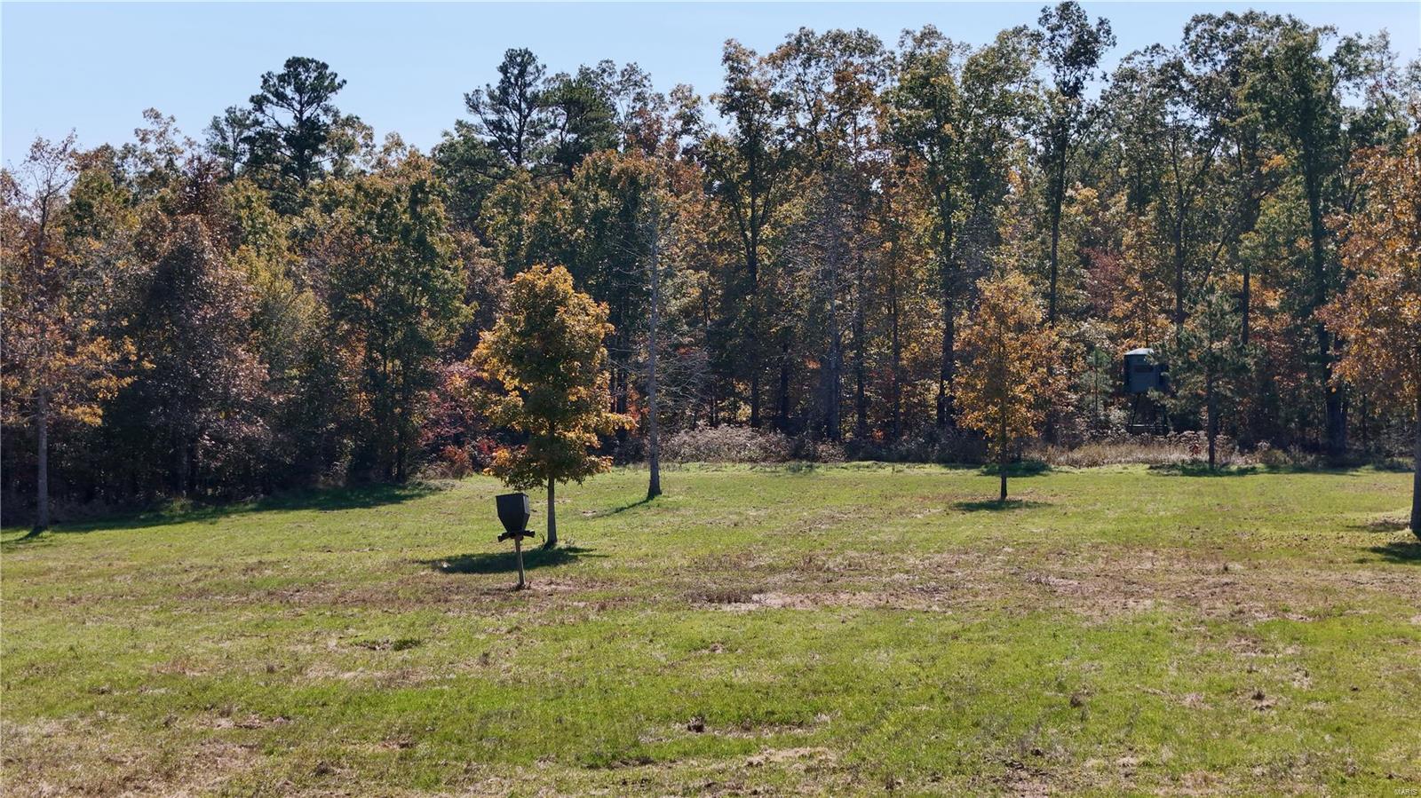 1743 Ripley Route North Doniphan, MO 63935 - Photo 54 of 91