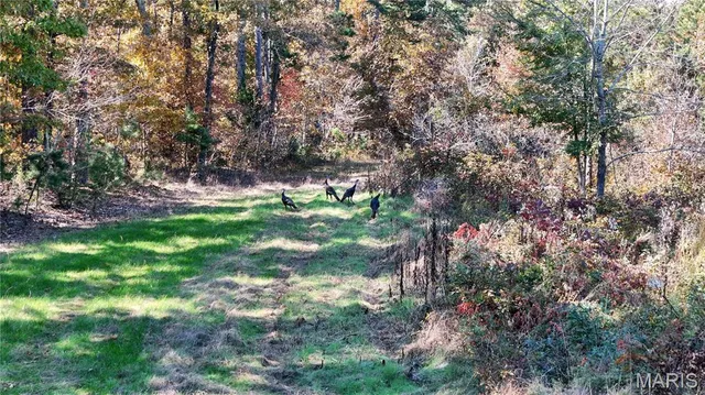 $1,300,000 | 1743 Ripley Route North, Doniphan, MO 63935