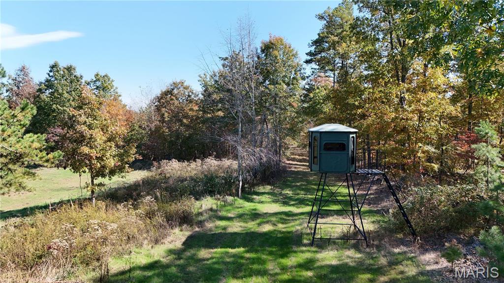 1743 Ripley Route North Doniphan, MO 63935 - Photo 56 of 91