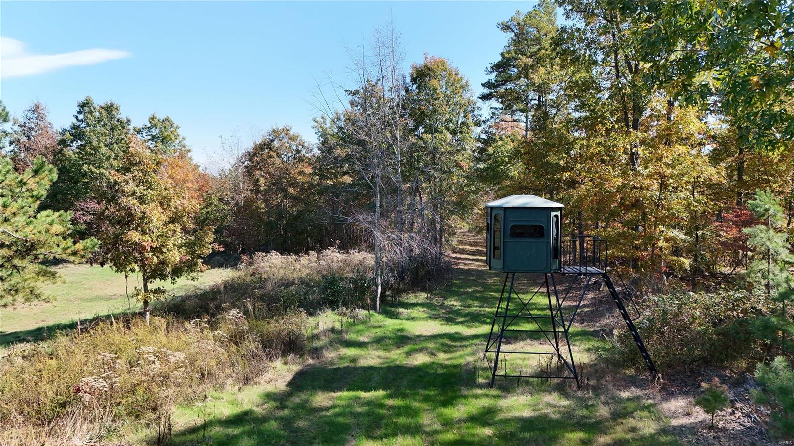 1743 Ripley Route North Doniphan, MO 63935 - Photo 56 of 91