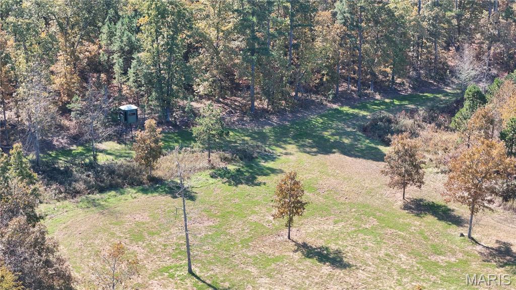 1743 Ripley Route North Doniphan, MO 63935 - Photo 57 of 91