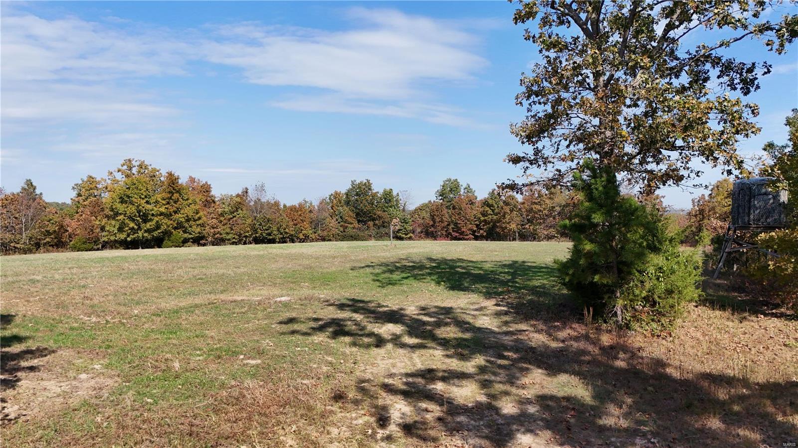 1743 Ripley Route North Doniphan, MO 63935 - Photo 60 of 91