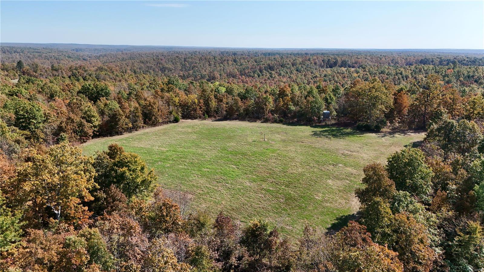 1743 Ripley Route North Doniphan, MO 63935 - Photo 61 of 91