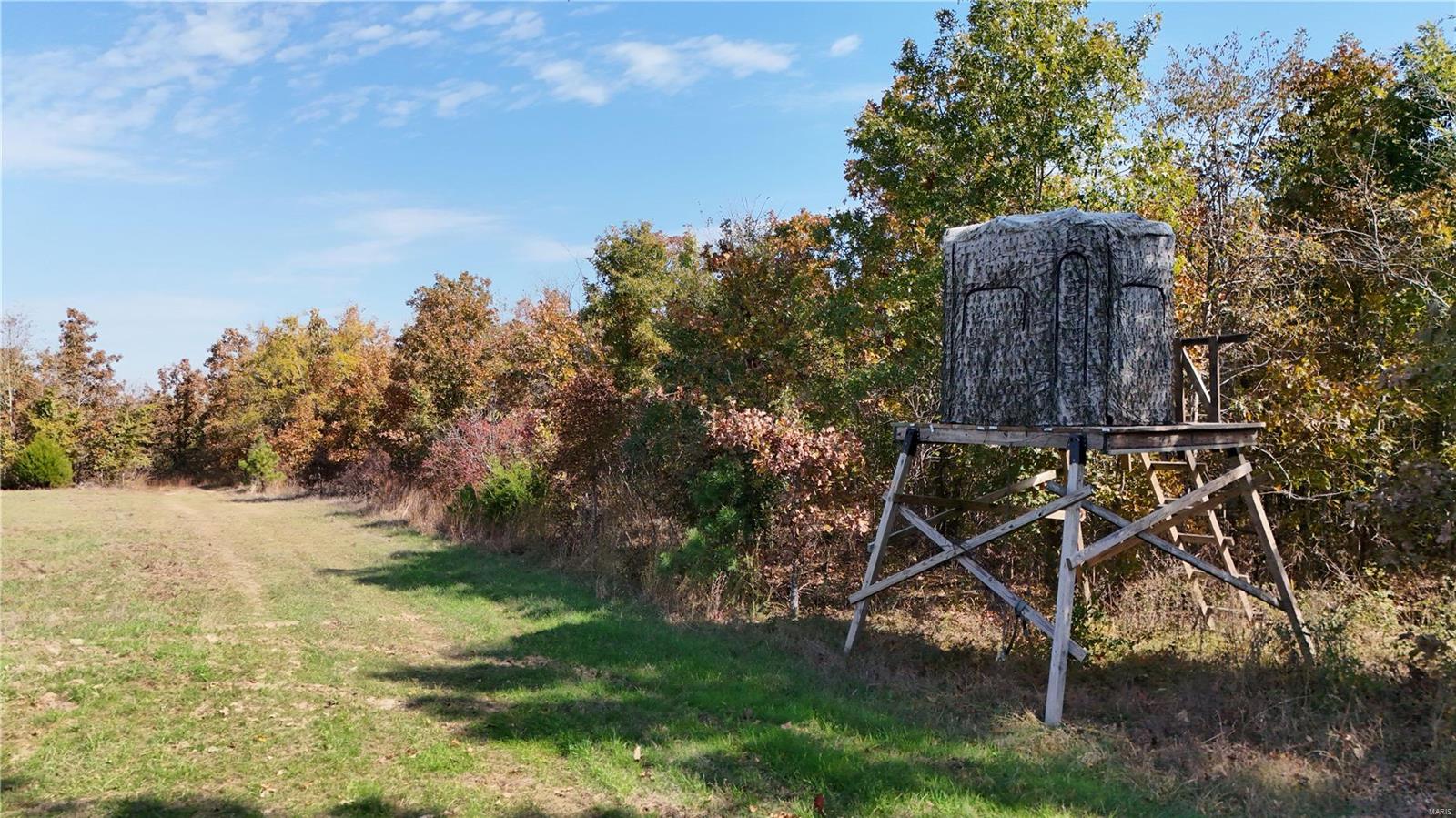 1743 Ripley Route North Doniphan, MO 63935 - Photo 62 of 91