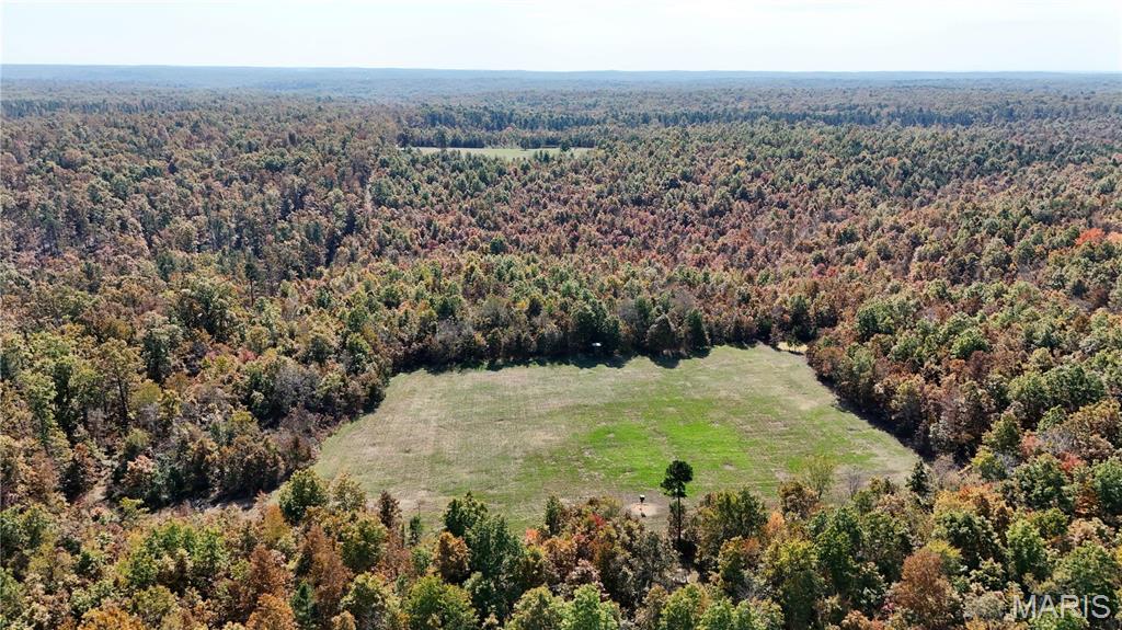 1743 Ripley Route North Doniphan, MO 63935 - Photo 64 of 91