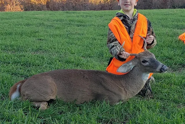 $1,300,000 | 1743 Ripley Route North, Doniphan, MO 63935