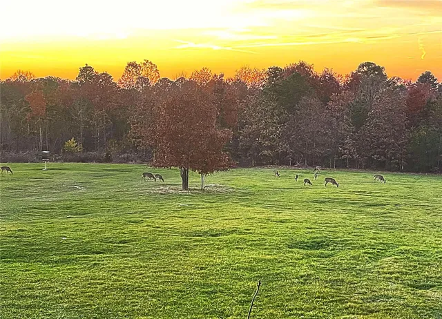 $1,300,000 | 1743 Ripley Route North, Doniphan, MO 63935