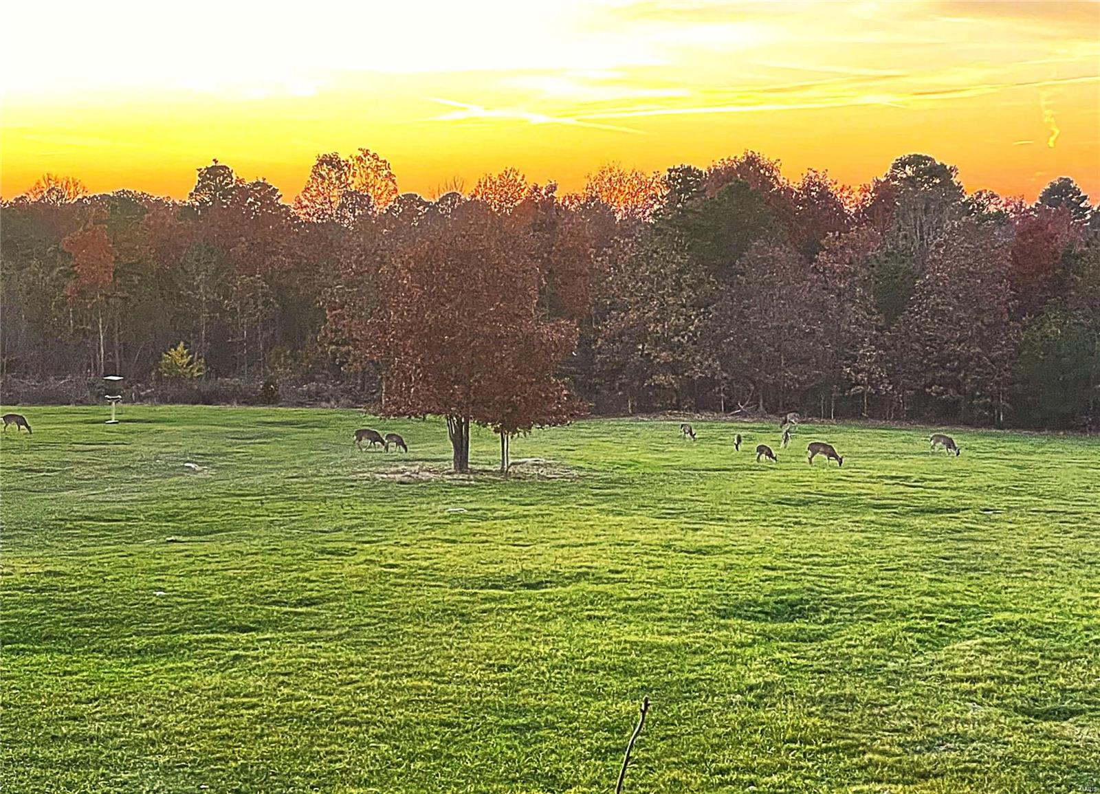 1743 Ripley Route North Doniphan, MO 63935 - Photo 66 of 91