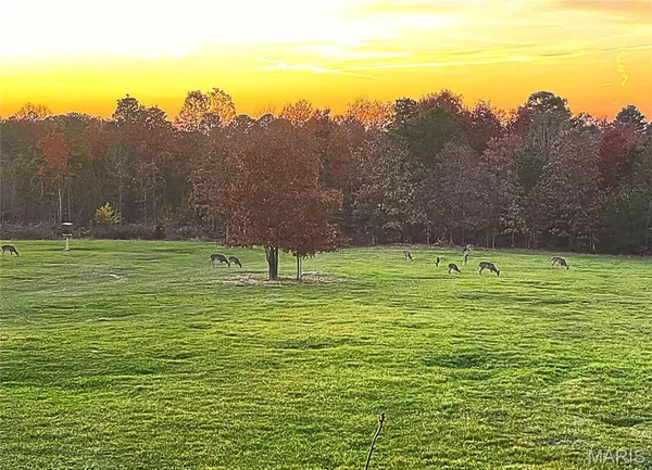 $1,300,000 | 1743 Ripley Route North, Doniphan, MO 63935