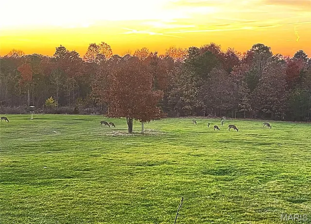 $1,300,000 | 1743 Ripley Route North, Doniphan, MO 63935