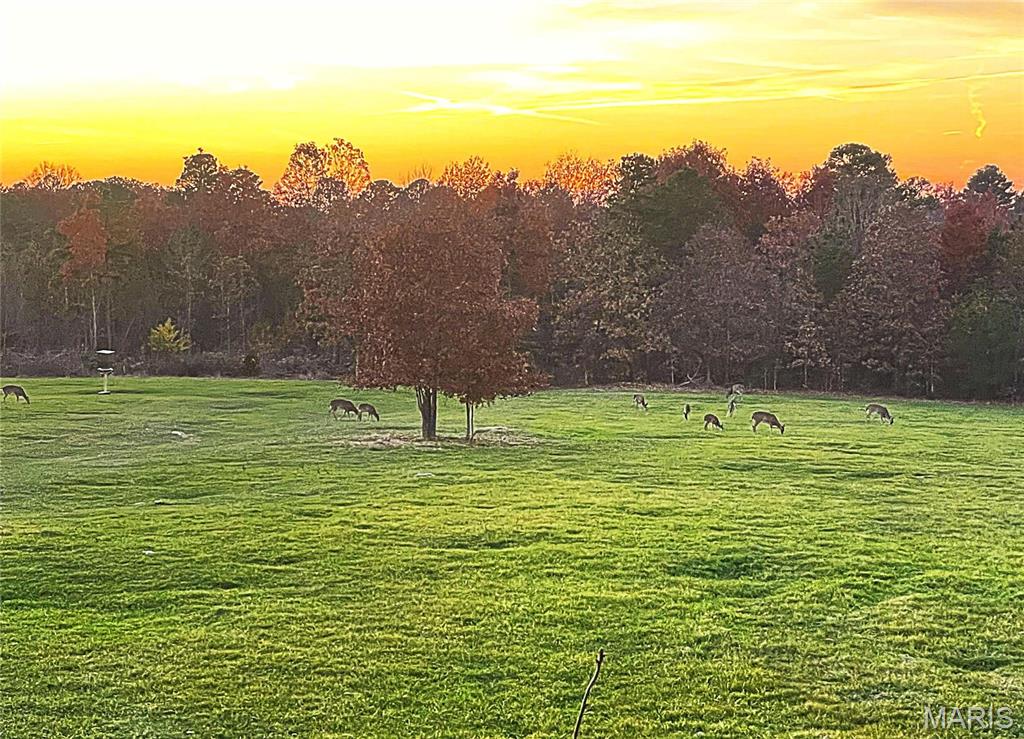 1743 Ripley Route North Doniphan, MO 63935 - Photo 66 of 91