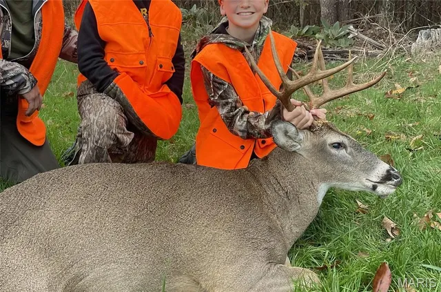 $1,300,000 | 1743 Ripley Route North, Doniphan, MO 63935