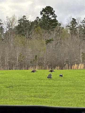 $1,300,000 | 1743 Ripley Route North, Doniphan, MO 63935