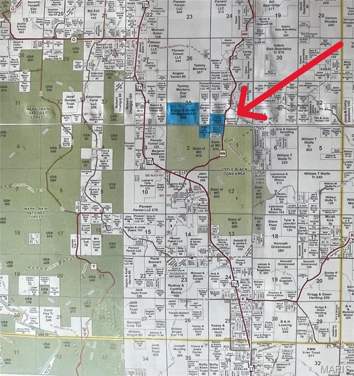 1743 Ripley Route North Doniphan, MO 63935 - Photo 69 of 91