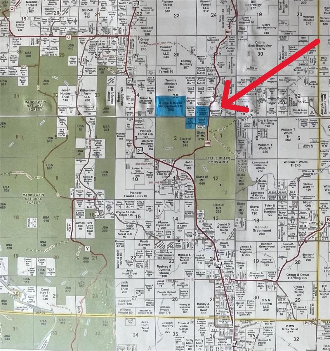 1743 Ripley Route North Doniphan, MO 63935 - Photo 69 of 91