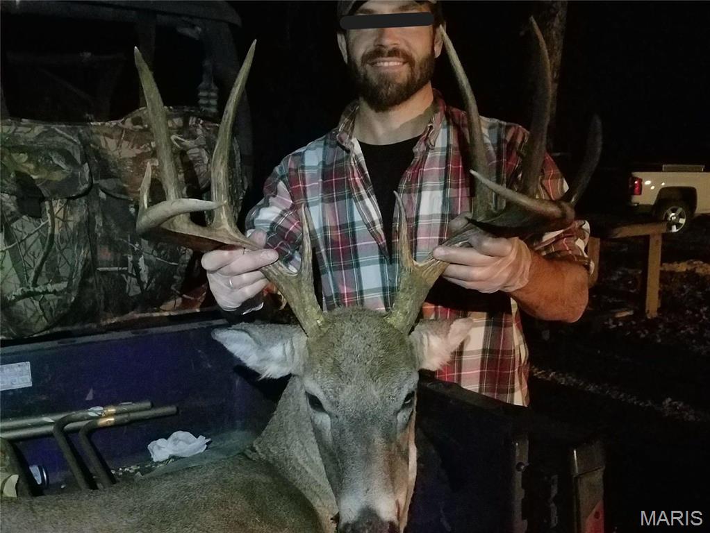 1743 Ripley Route North Doniphan, MO 63935 - Photo 7 of 91