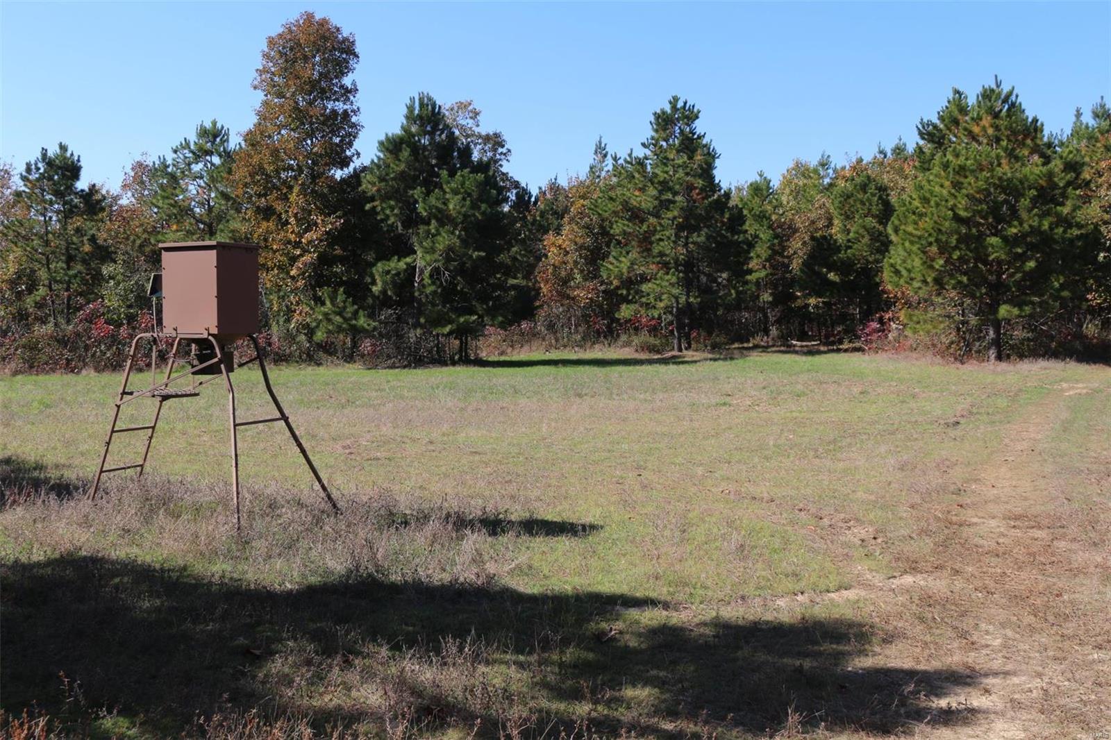 1743 Ripley Route North Doniphan, MO 63935 - Photo 72 of 91