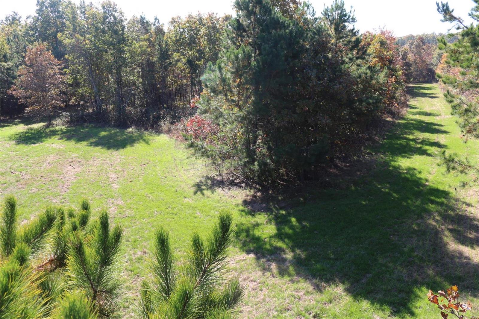 1743 Ripley Route North Doniphan, MO 63935 - Photo 73 of 91