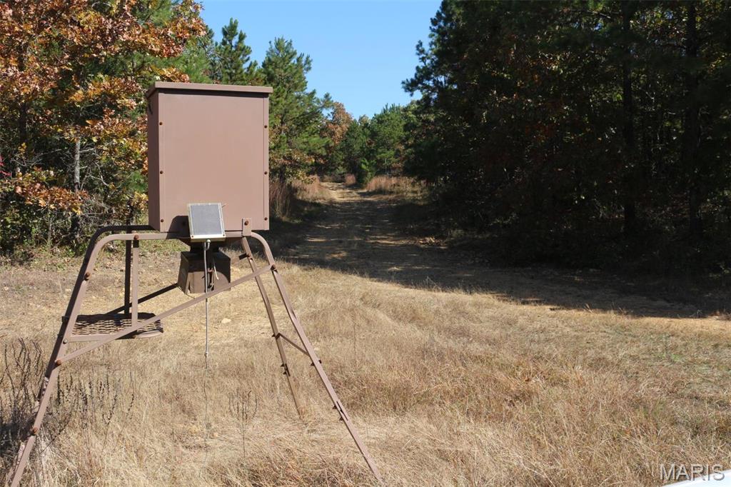 1743 Ripley Route North Doniphan, MO 63935 - Photo 74 of 91