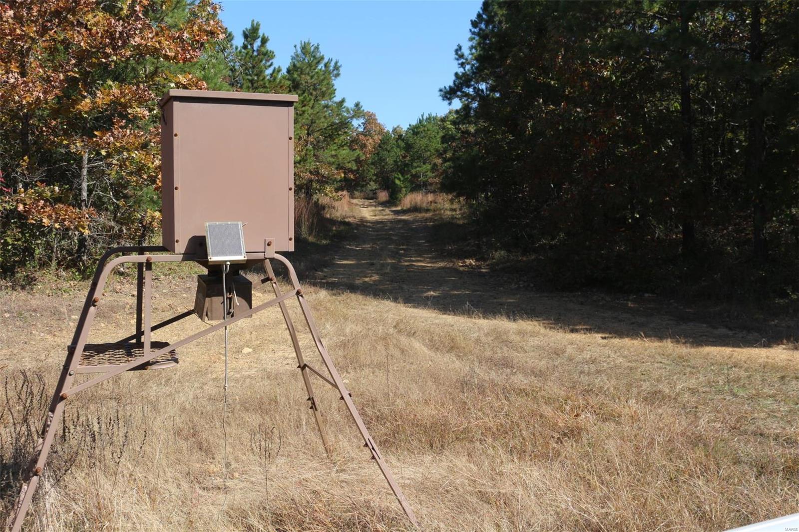 1743 Ripley Route North Doniphan, MO 63935 - Photo 74 of 91