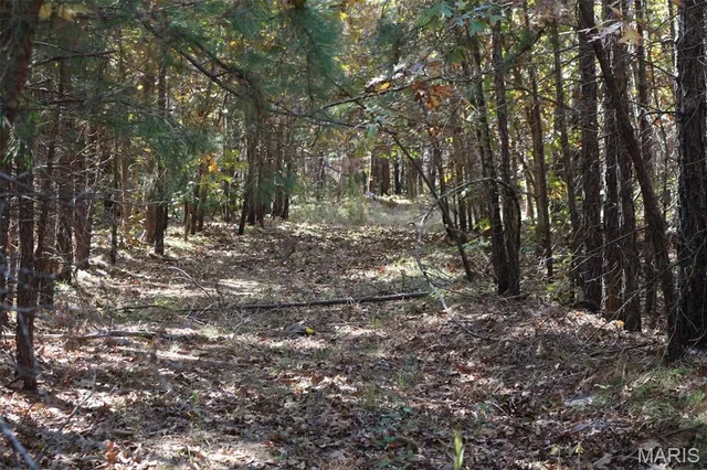 $1,300,000 | 1743 Ripley Route North, Doniphan, MO 63935