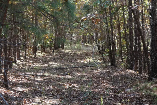 $1,300,000 | 1743 Ripley Route North, Doniphan, MO 63935