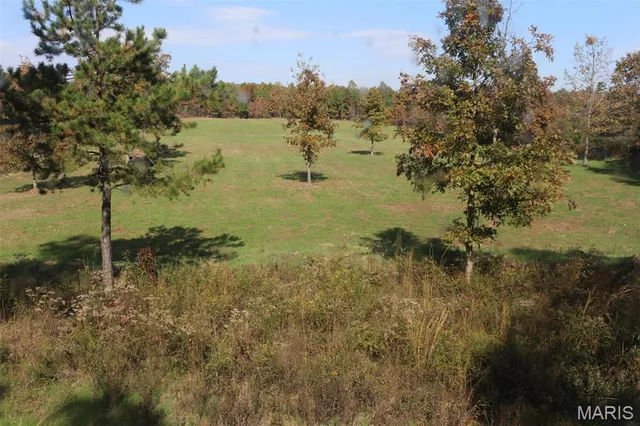 $1,300,000 | 1743 Ripley Route North, Doniphan, MO 63935