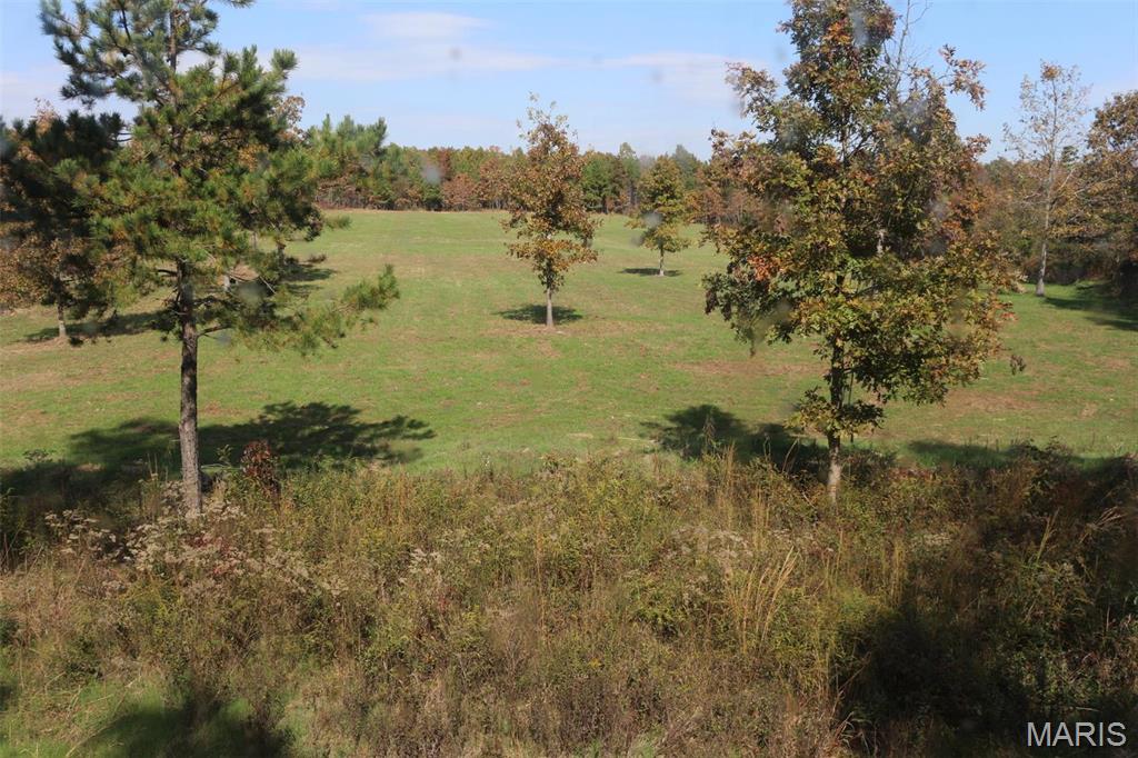 1743 Ripley Route North Doniphan, MO 63935 - Photo 76 of 91