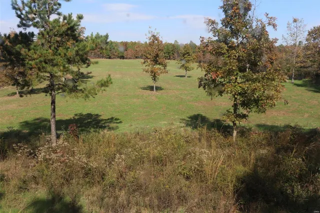 $1,300,000 | 1743 Ripley Route North, Doniphan, MO 63935