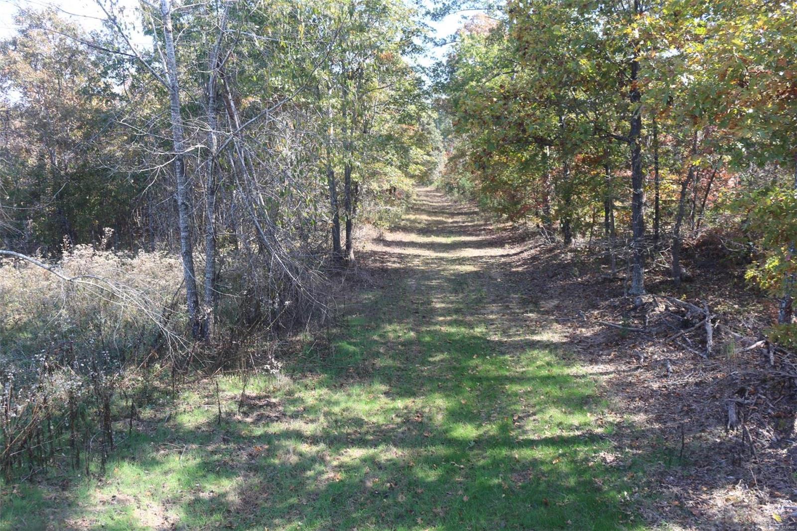 1743 Ripley Route North Doniphan, MO 63935 - Photo 77 of 91