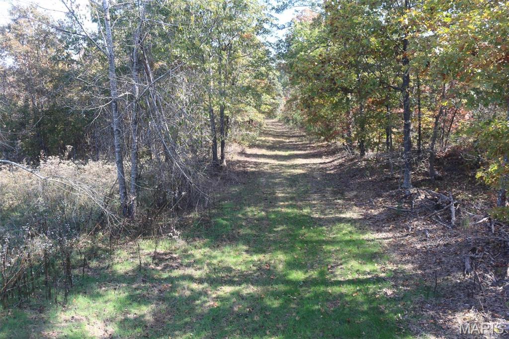 1743 Ripley Route North Doniphan, MO 63935 - Photo 77 of 91