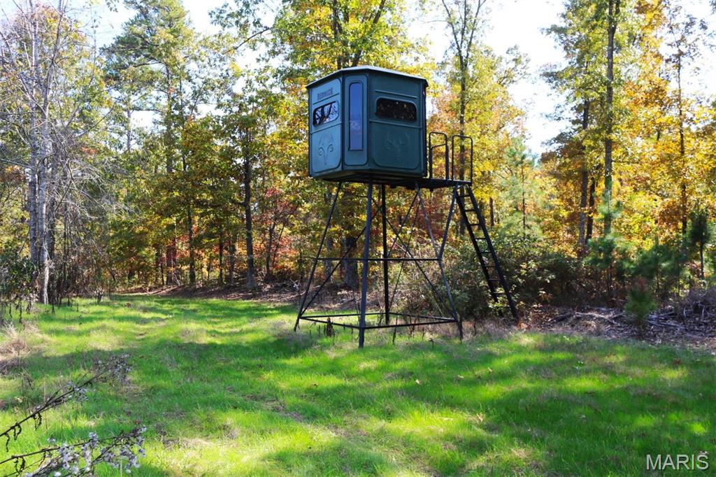 1743 Ripley Route North Doniphan, MO 63935 - Photo 78 of 91