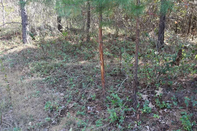 $1,300,000 | 1743 Ripley Route North, Doniphan, MO 63935