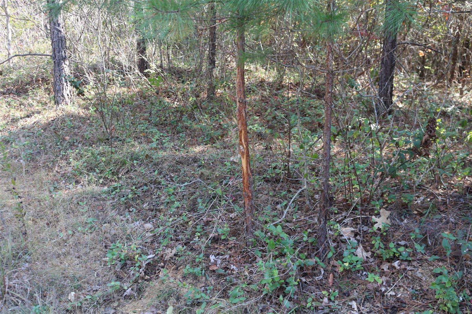 1743 Ripley Route North Doniphan, MO 63935 - Photo 79 of 91