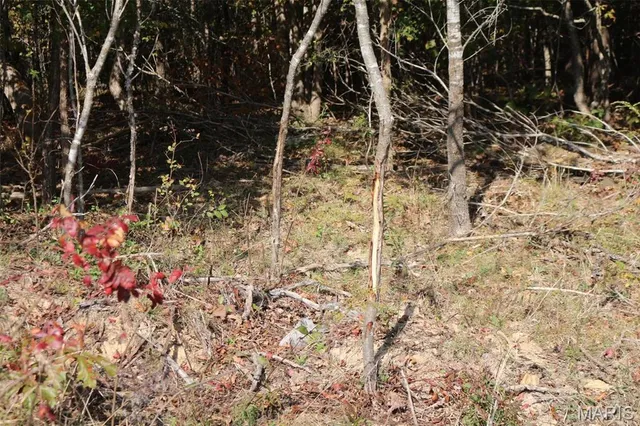 $1,300,000 | 1743 Ripley Route North, Doniphan, MO 63935