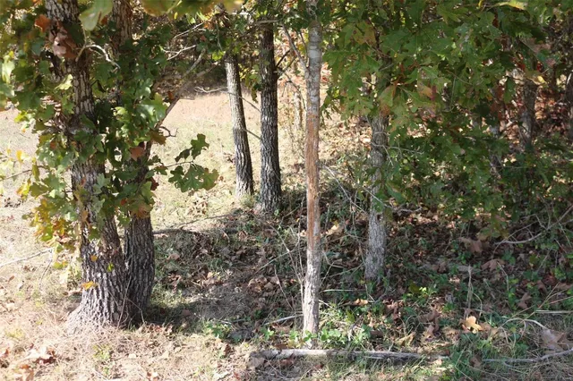 $1,300,000 | 1743 Ripley Route North, Doniphan, MO 63935