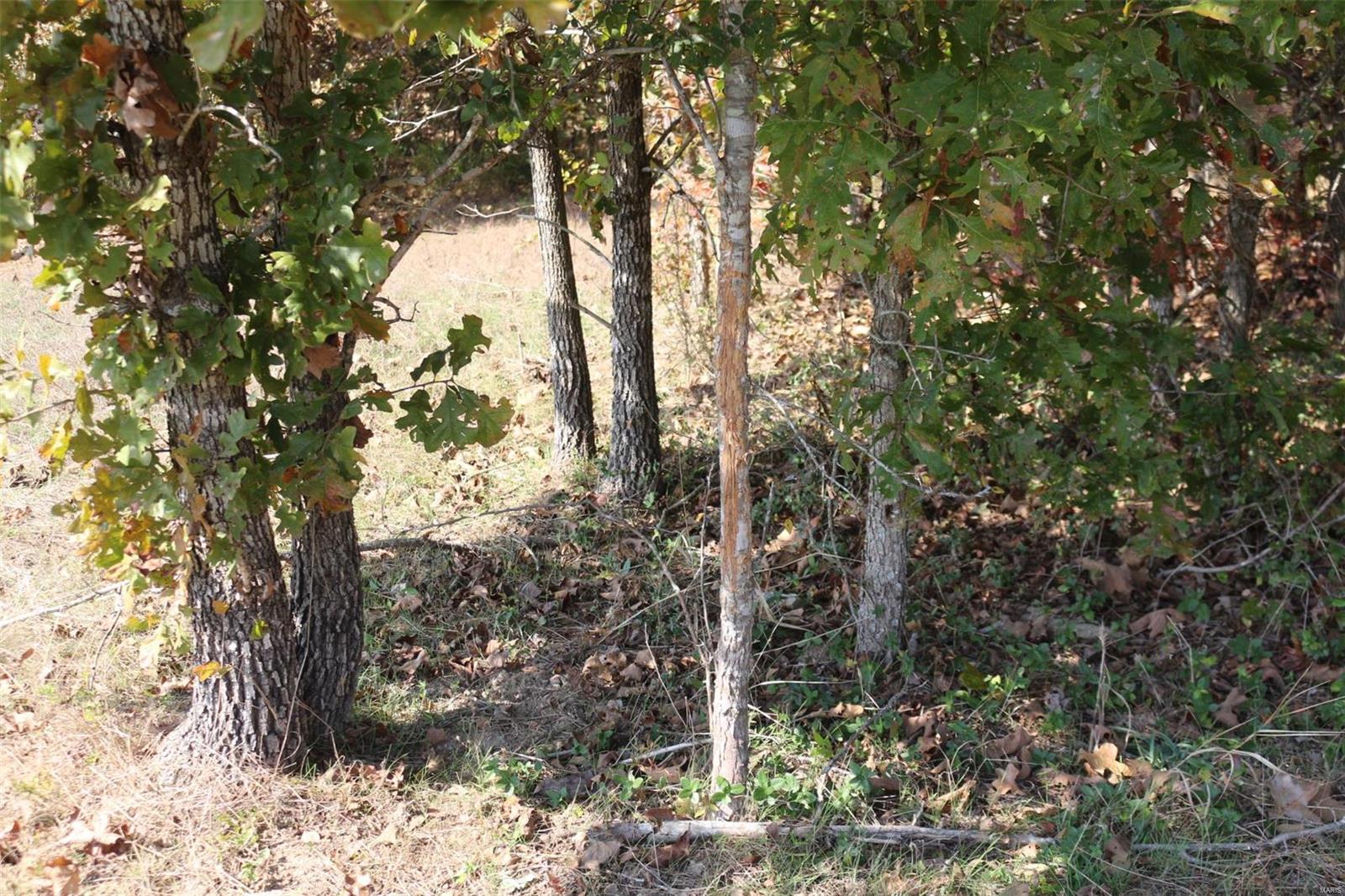 1743 Ripley Route North Doniphan, MO 63935 - Photo 83 of 91