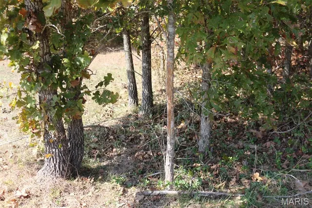 $1,300,000 | 1743 Ripley Route North, Doniphan, MO 63935