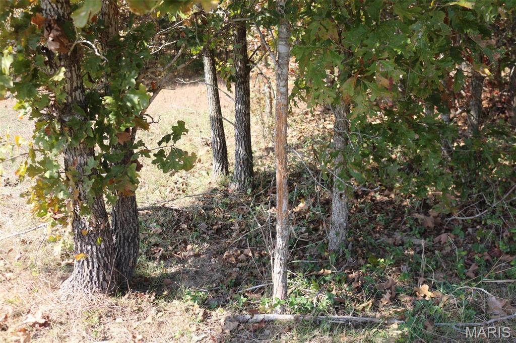 1743 Ripley Route North Doniphan, MO 63935 - Photo 83 of 91