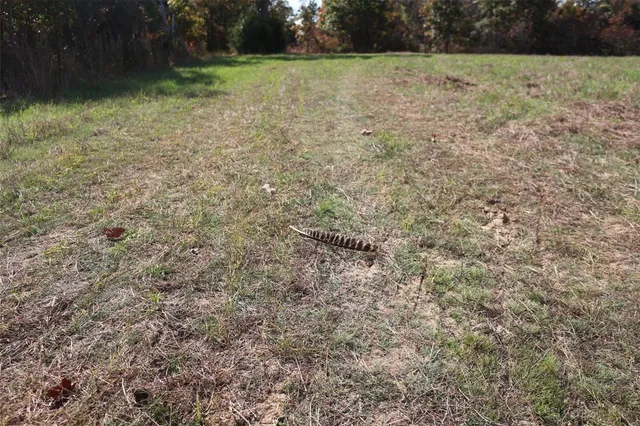 $1,300,000 | 1743 Ripley Route North, Doniphan, MO 63935