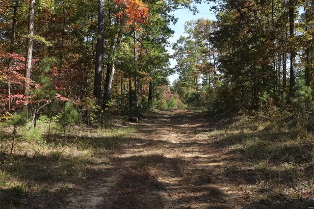 $1,300,000 | 1743 Ripley Route North, Doniphan, MO 63935