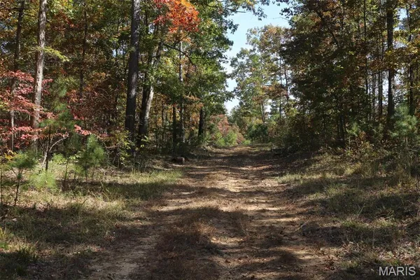 $1,300,000 | 1743 Ripley Route North, Doniphan, MO 63935
