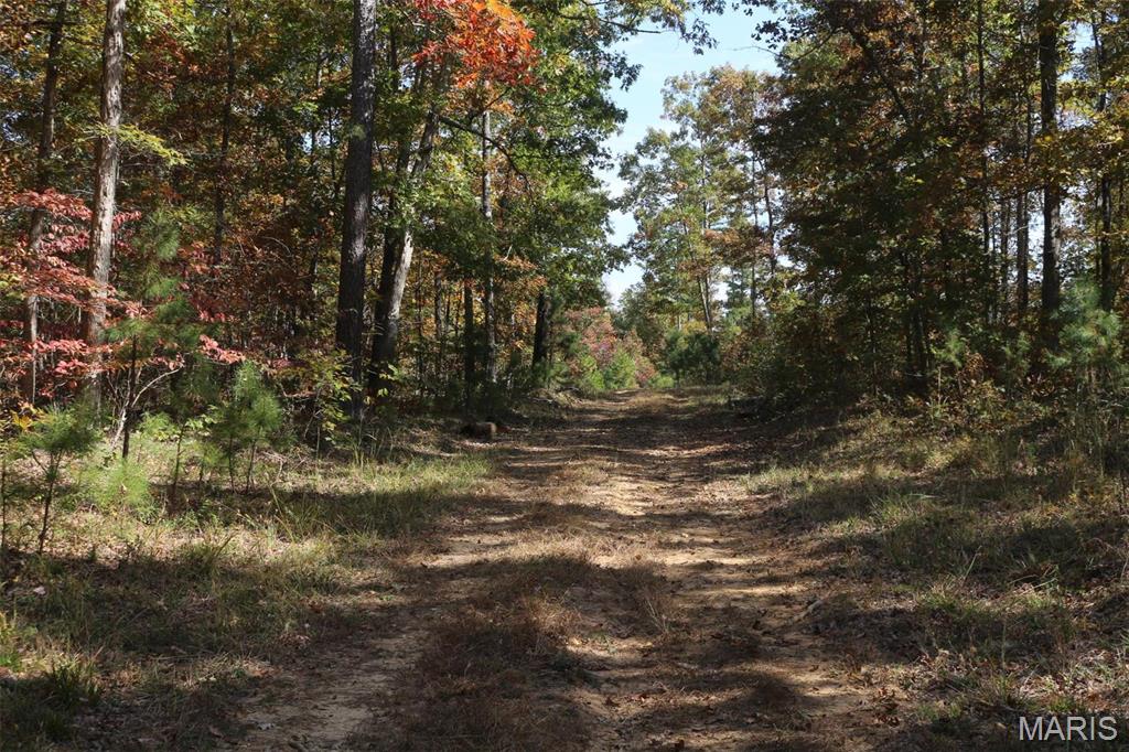 1743 Ripley Route North Doniphan, MO 63935 - Photo 87 of 91