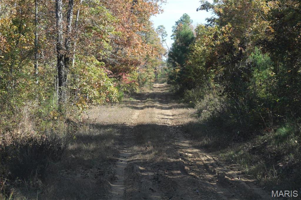 1743 Ripley Route North Doniphan, MO 63935 - Photo 88 of 91