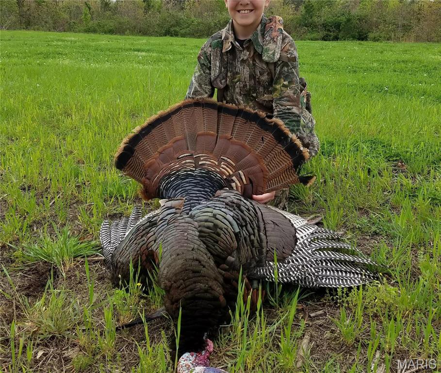 1743 Ripley Route North Doniphan, MO 63935 - Photo 9 of 91