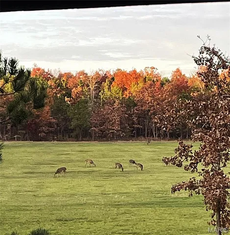 $1,300,000 | 1743 Ripley Route North, Doniphan, MO 63935