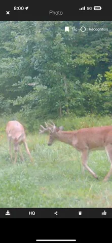 $269,900 | 490 Kelley Road, Reading, MI 49274